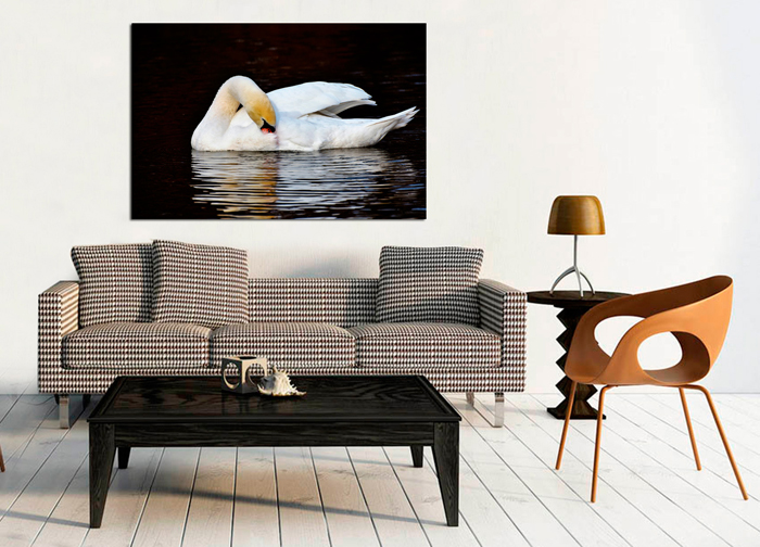 Tableau cygne en el lac