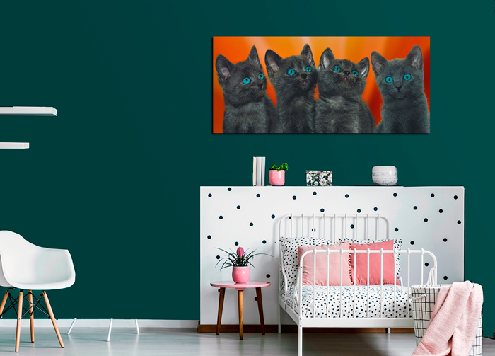 Tableau chatons