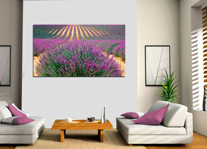 Tableau paysage de lavenda