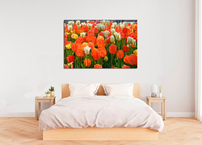 Tableau tulipees orange