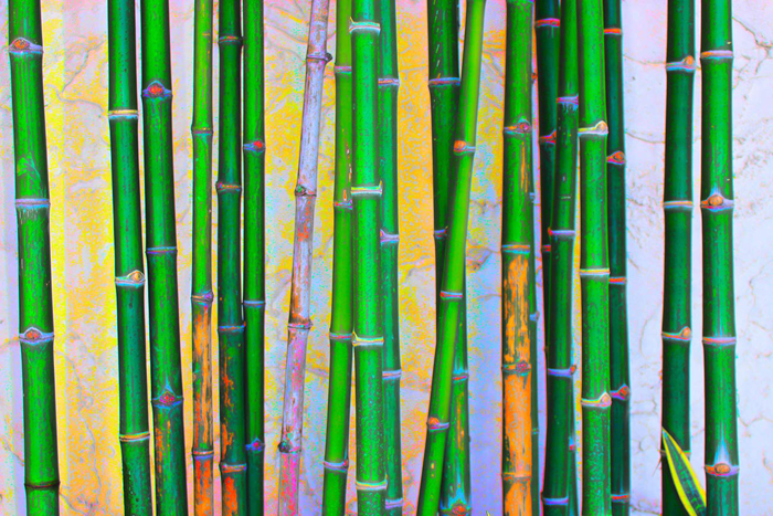 Tableau de bambou