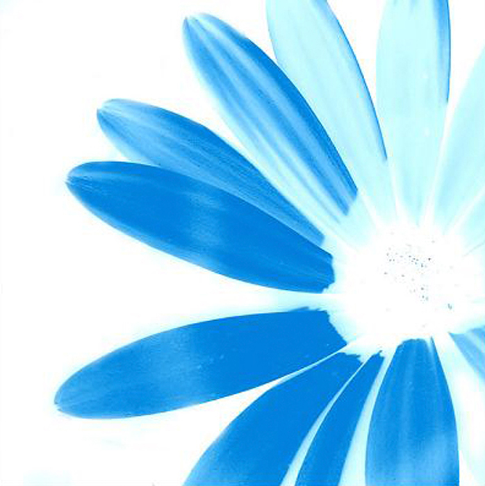Tableau fleur bleu