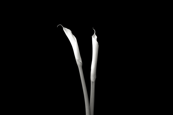 Tableau photographie blanc et noir