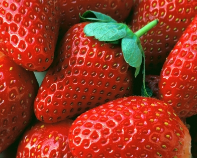 Tableau fraises(bme160032)