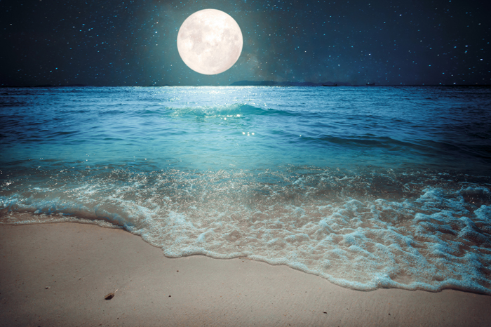 Tableau pleine lune sur la plage