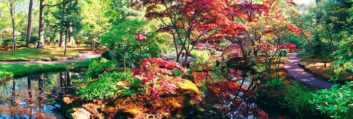 Tableau paysage forestier japonais