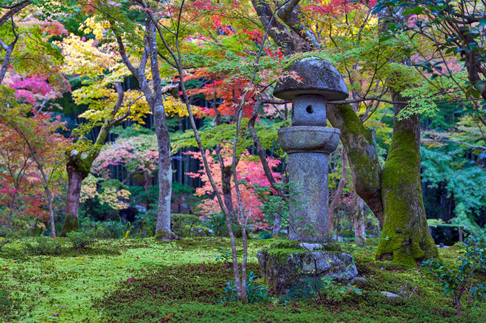 Tableau paysage forêt Japonais