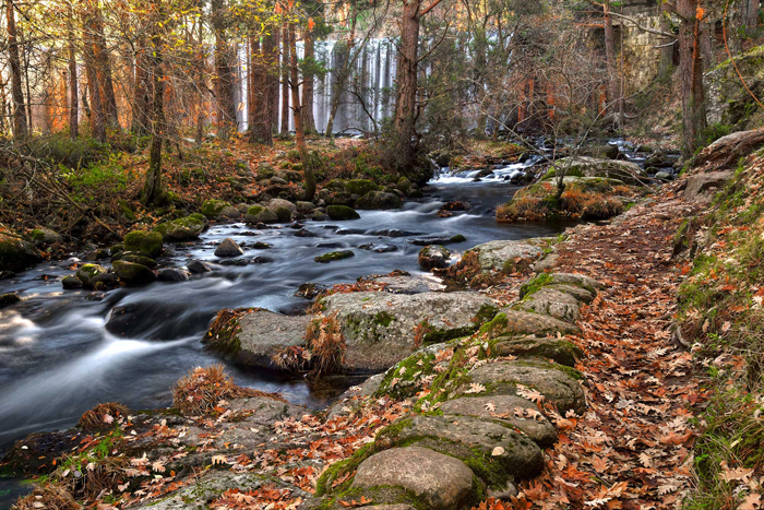 Tableau ruisseau dans le montagne