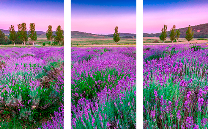 Tableau triptyque paysage fleurs de lys