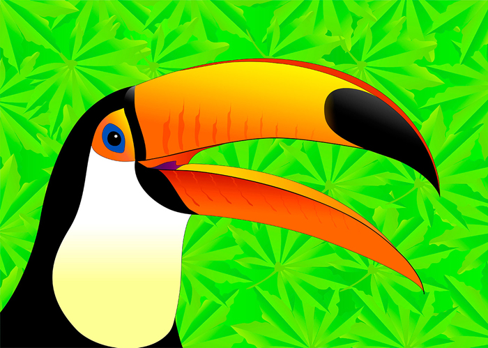 Tableau toucan
