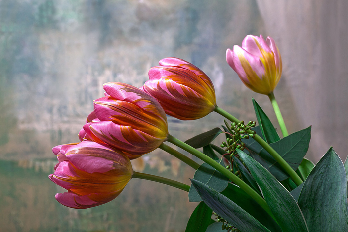 Tableau de tulipees