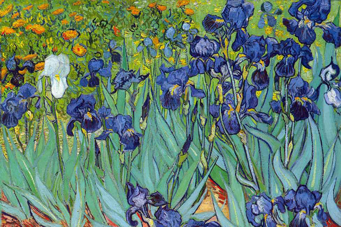 Tableau Van Gogh