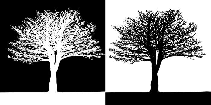 Tableau arbres blanc et noir